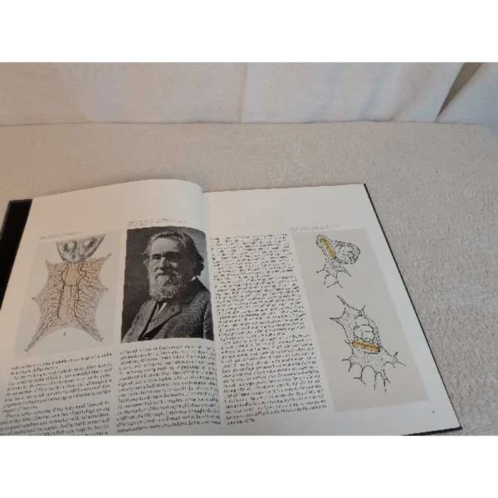 Inflammation A Scope Publication 1977 Medical Science Book